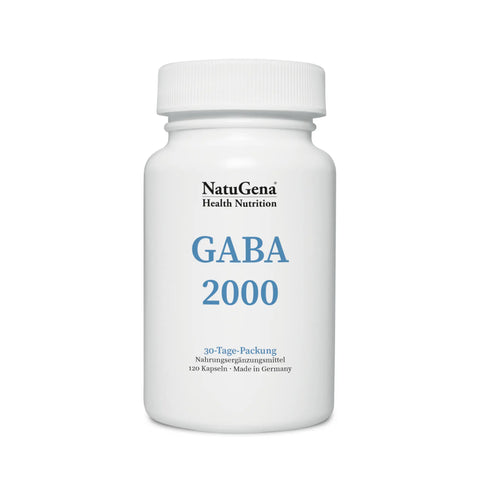 GABA 2000