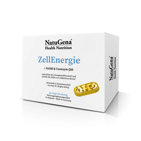 Zell Energie