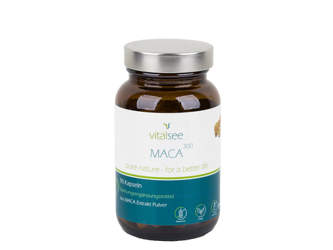 MACA 300