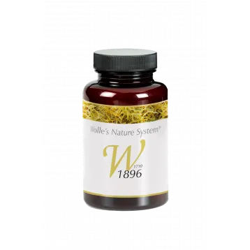 Wolle Nr. 1896 Knochen 120 St