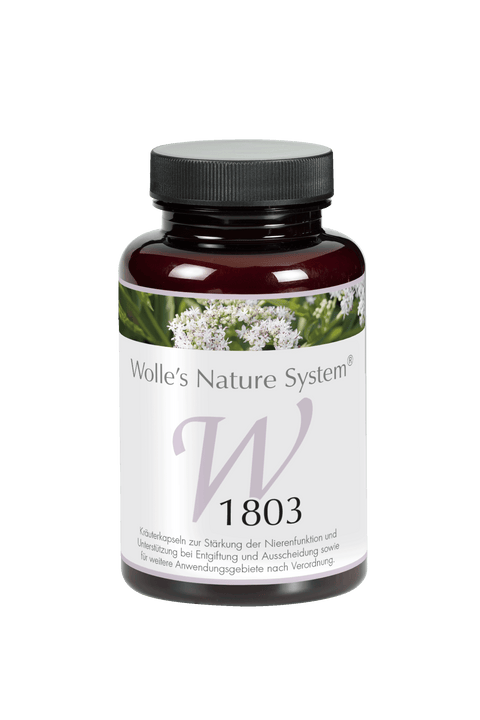 Wolle Nr. 1803 Niere 120 St