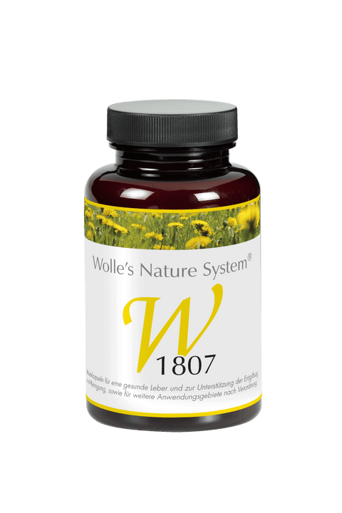 Wolle Nr. 1807 Leber 120 St