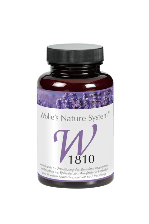 Gehirn & Kognitive Fähigkeiten