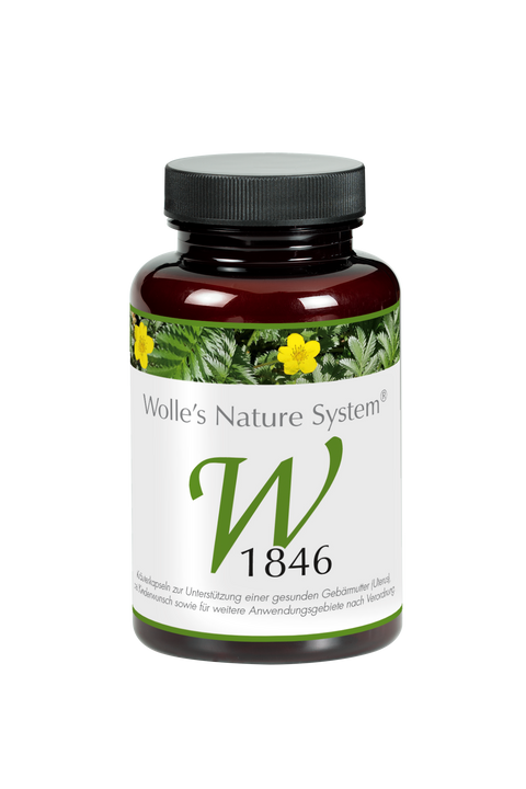 Wolle Nr. 1846 Uterus 120 St