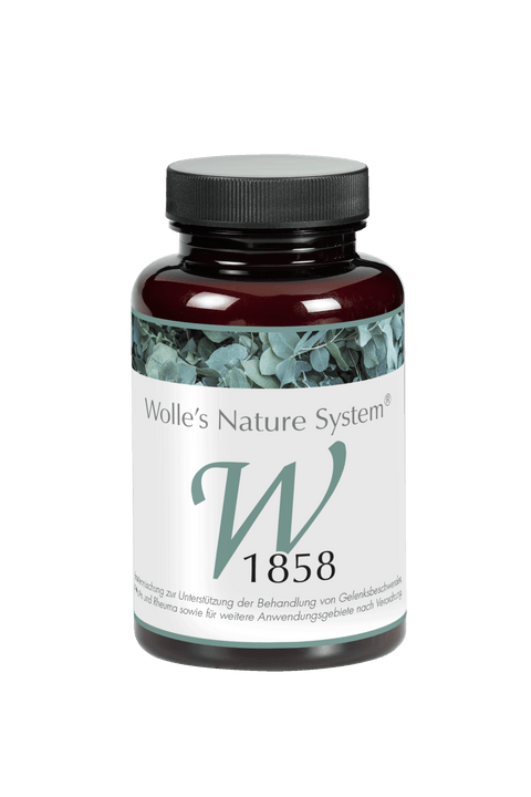 Wolle Nr. 1858 Arthritis 120 St