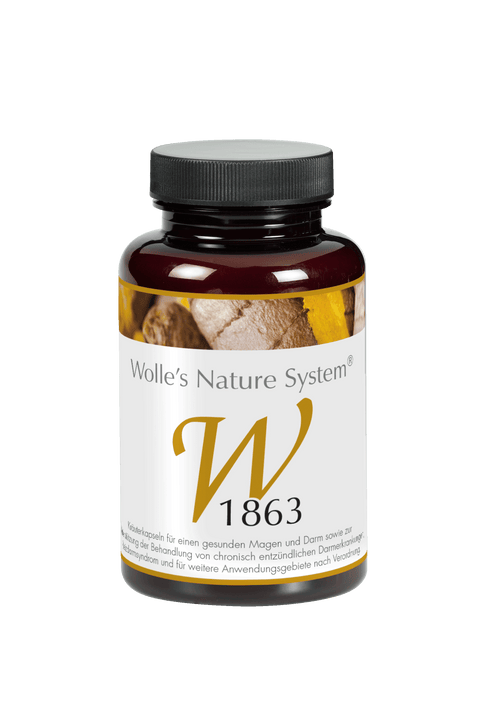 Wolle Nr. 1863 Magen-Darm 120 St