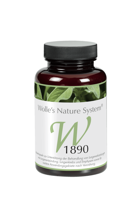Wolle Nr. 1890 Lunge 120 St