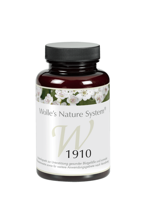 Wolle Nr. 1910 Cholesterin 120 St