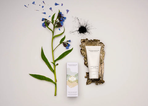 Purification Mask 50 ml